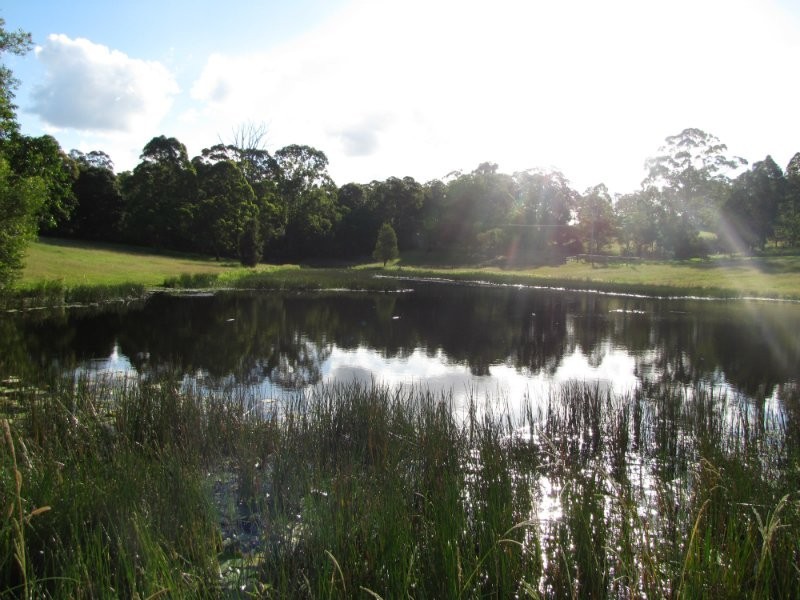 1531 Cooroy Belli Creek Road, Cooroy QLD 4563