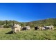 477 Gold Creek Road, Eumundi QLD 4562
