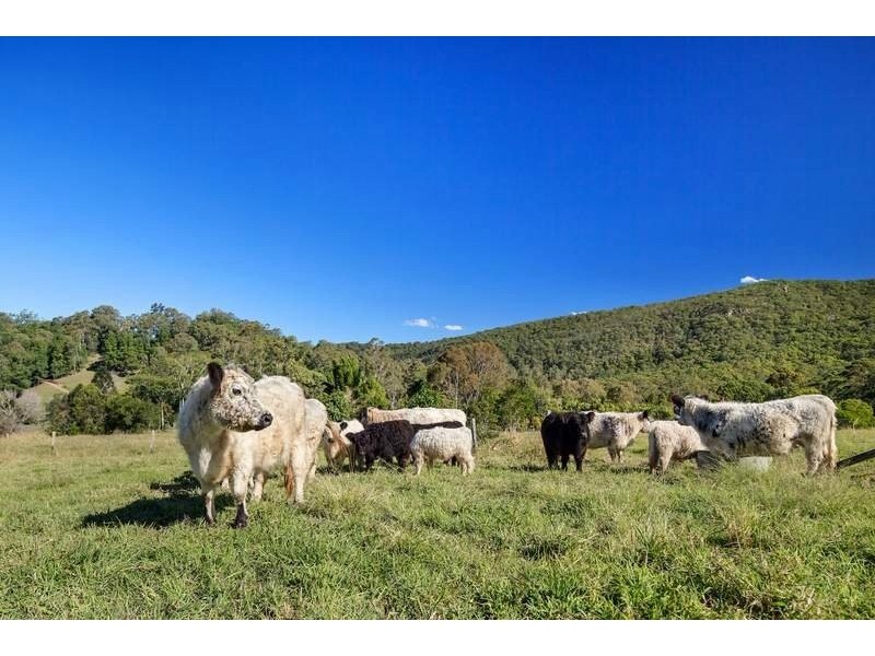 477 Gold Creek Road, Eumundi QLD 4562