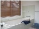 Eumundi QLD 4562