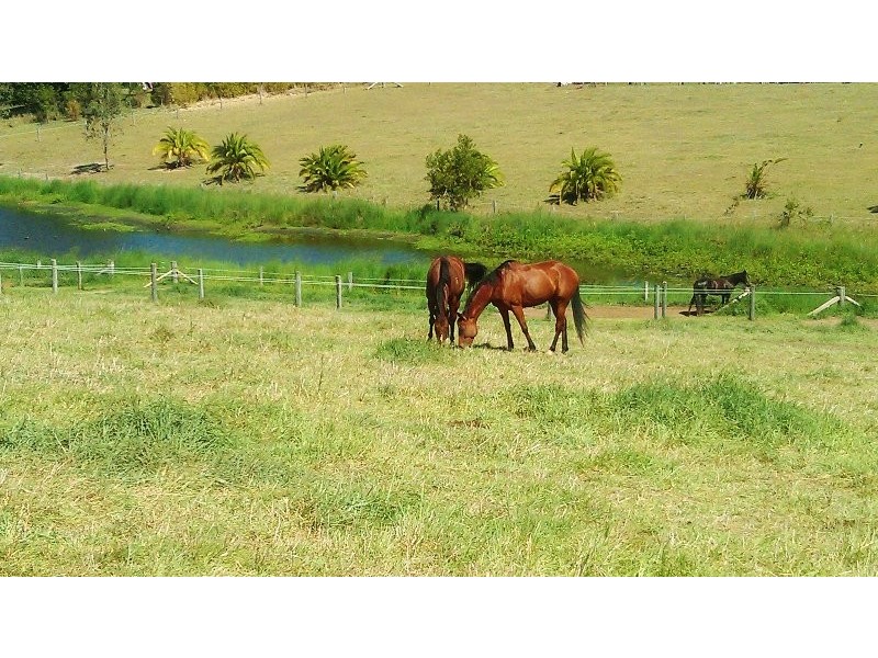 Belli Park QLD 4562