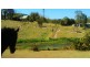 Belli Park QLD 4562