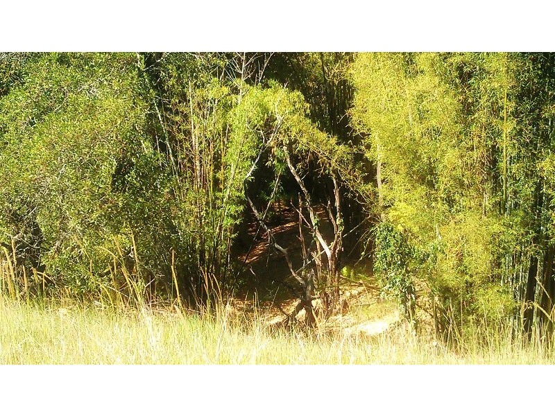 Belli Park QLD 4562