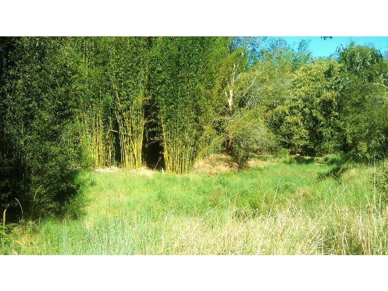 Belli Park QLD 4562