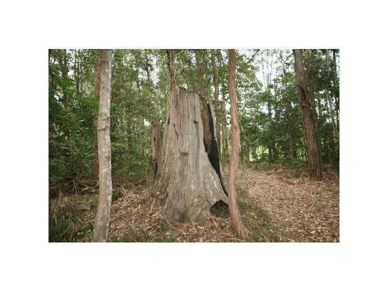 Tinbeerwah QLD 4563