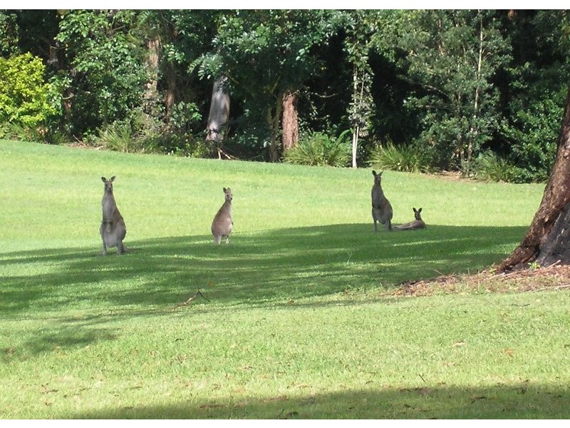 260-282 Pryor Road, Verrierdale QLD 4562