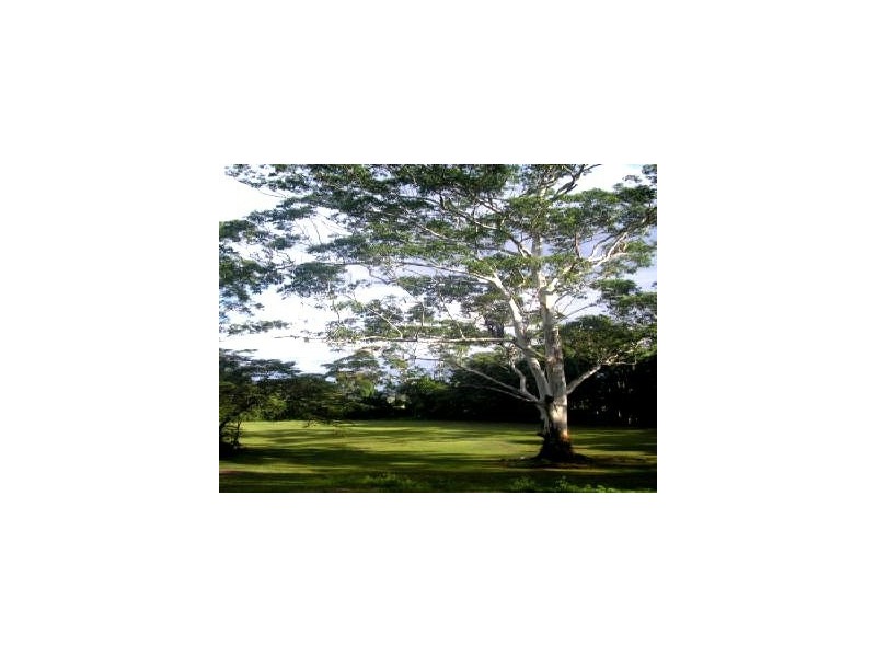 260-282 Pryor Road, Verrierdale QLD 4562