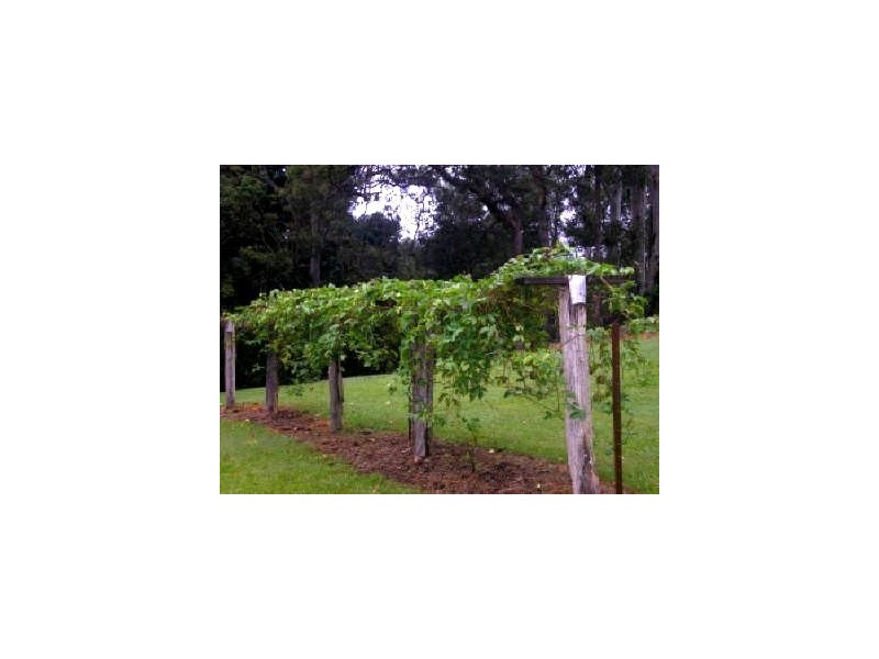 260-282 Pryor Road, Verrierdale QLD 4562