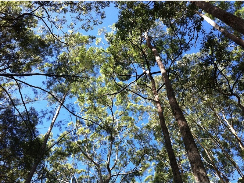 24-56 Dean Road, Verrierdale QLD 4562