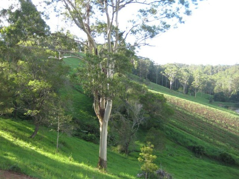 25-27 Ceylon Road, Eerwah Vale QLD 4562