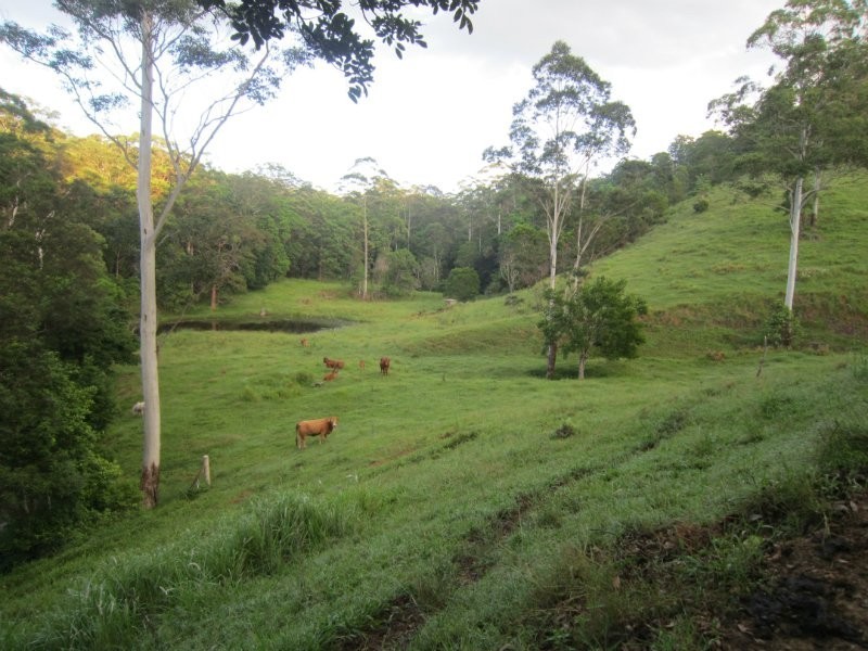 25-27 Ceylon Road, Eerwah Vale QLD 4562