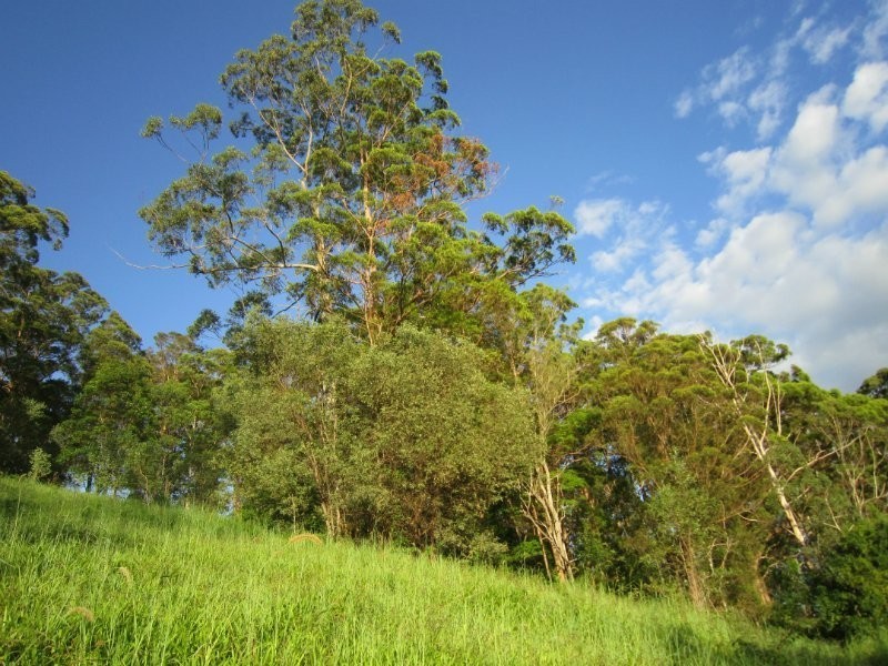 25-27 Ceylon Road, Eerwah Vale QLD 4562