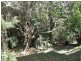 187 Gladstone Rd, Highgate Hill QLD 4101