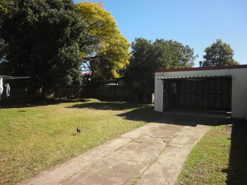 14a Lackey Avenue, Coorparoo QLD 4151
