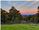 485 Brush Road, Glenning Valley NSW 2261