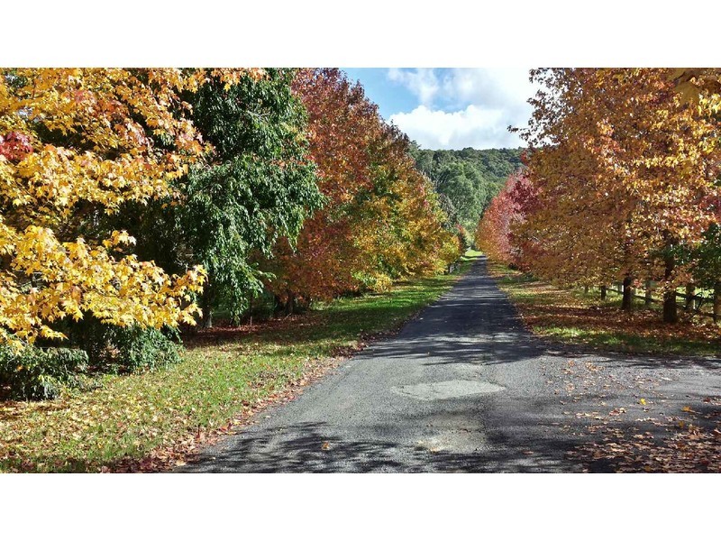 44 Curringa Close, Glenning Valley NSW 2261