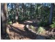 2 Bangalow Close, Tumbi Umbi NSW 2261