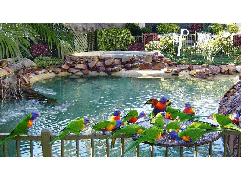 43/42-44 Kitchener Road,, Long Jetty NSW 2261