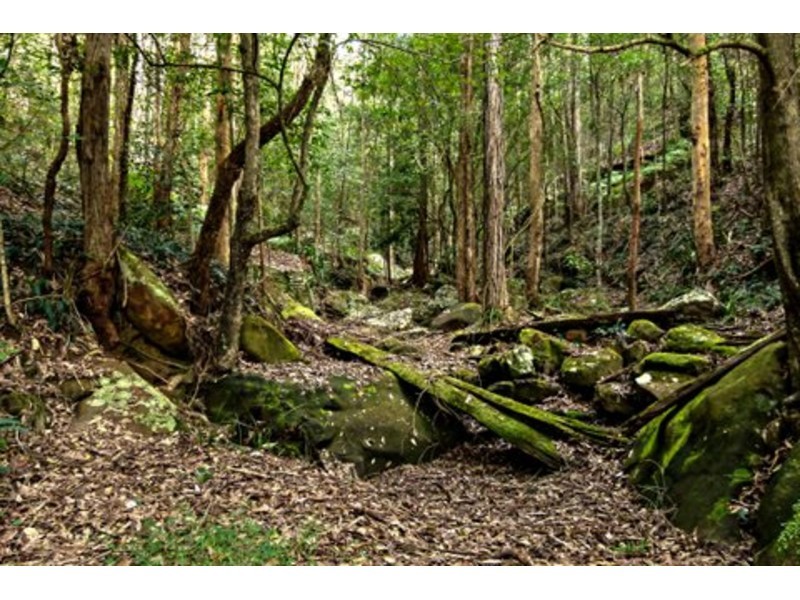 116 Bunning Creek Road, Yarramalong NSW 2259