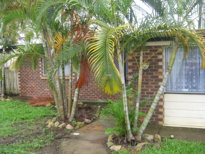 20 Ash Street, Marsden QLD 4132