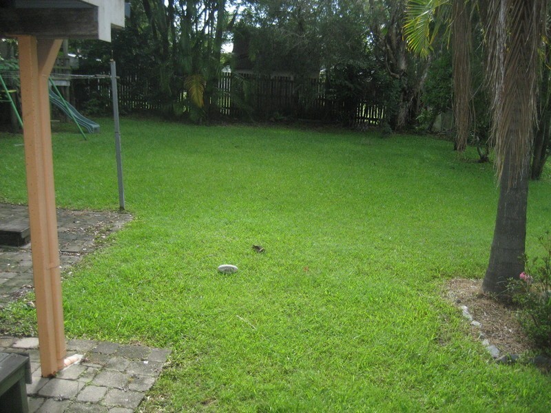 48 Forestglen Crescent, Browns Plains QLD 4118