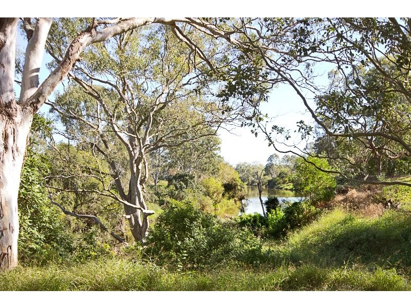 41 Louise Street, Waterford West QLD 4133