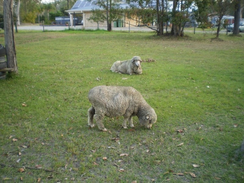 169-171 Wilson Road, Buccan QLD 4207