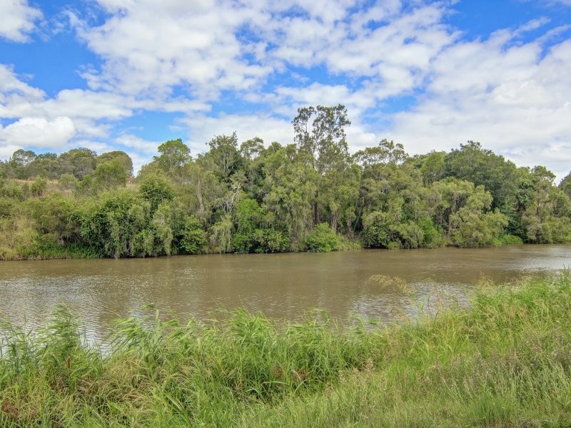 37 Katrina Crescent, Waterford West QLD 4133