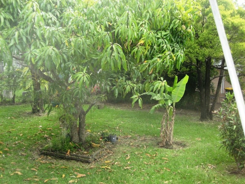 56 Alpita Street, Kuraby QLD 4112