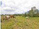 305 Leopardwood Road, Cedar Grove QLD 4285