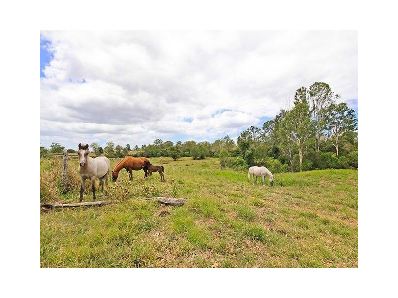 305 Leopardwood Road, Cedar Grove QLD 4285