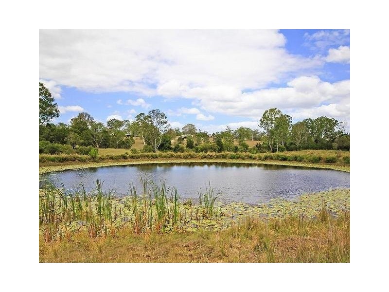305 Leopardwood Road, Cedar Grove QLD 4285