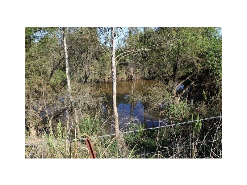 305 Leopardwood Road, Cedar Grove QLD 4285