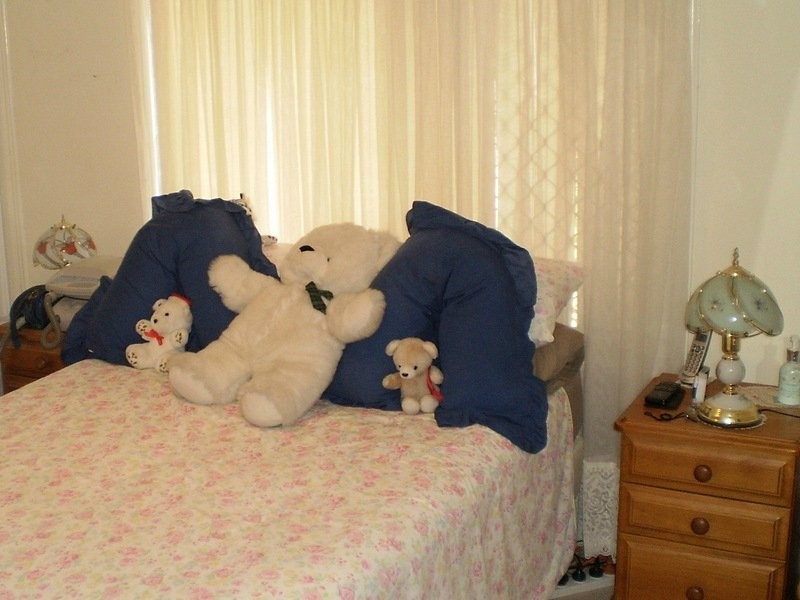 31 Jade Garden Dr, Boronia Heights QLD 4124