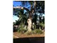 4 Carrosa Street, Marsden QLD 4132