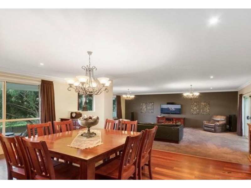 8 Asher Court, Upper Coomera QLD 4209