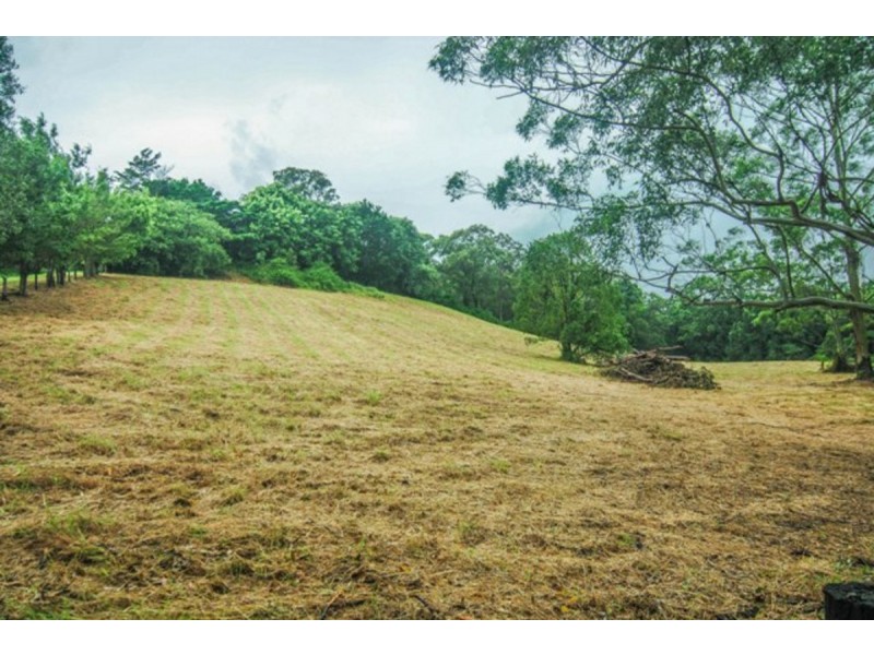 10 Rosemount Drive, Willow Vale QLD 4209