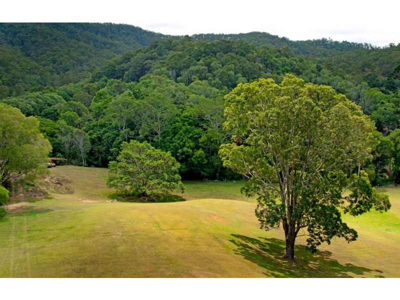 404 Ruffles Road, Willow Vale QLD 4209