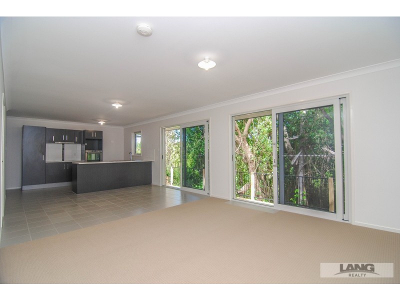 45 Tillyroen Road, Ormeau Hills QLD 4208