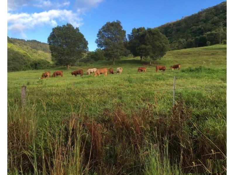 107 Welches Road, Wongawallan QLD 4210