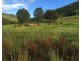 216 Welches Road, Wongawallan QLD 4210