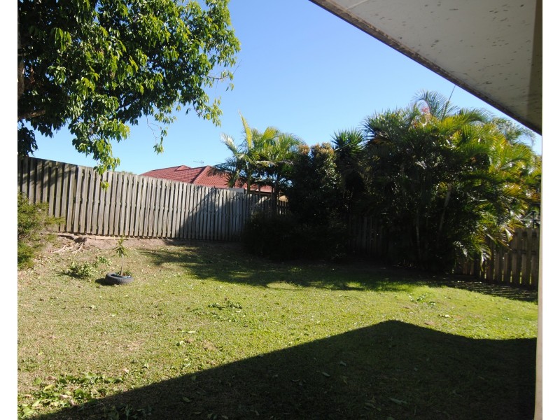 17 Fallow Court, Upper Coomera QLD 4209