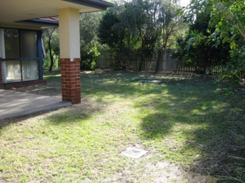 31 Vivacity Drive, Upper Coomera QLD 4209