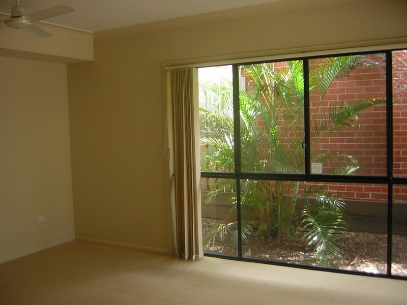 28 Vivacity Drive, Upper Coomera QLD 4209