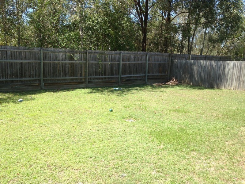 14 Lomandra Court, Oxenford QLD 4210