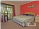 Tamborine Mountain QLD 4272