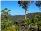 Tamborine Mountain QLD 4272