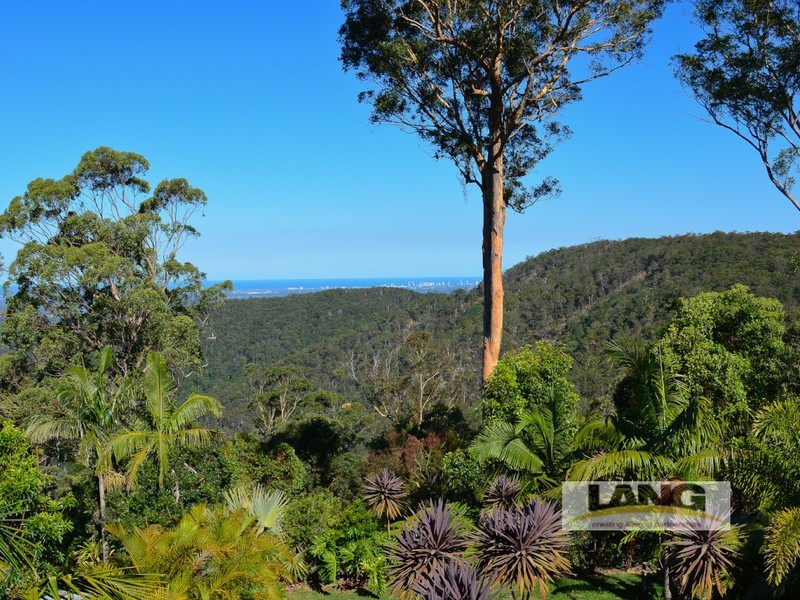 Tamborine Mountain QLD 4272