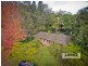 Tamborine Mountain QLD 4272
