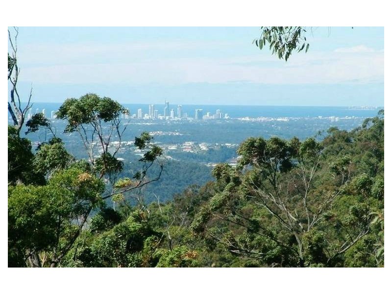 311 Wongawallan Drive, Wongawallan QLD 4210